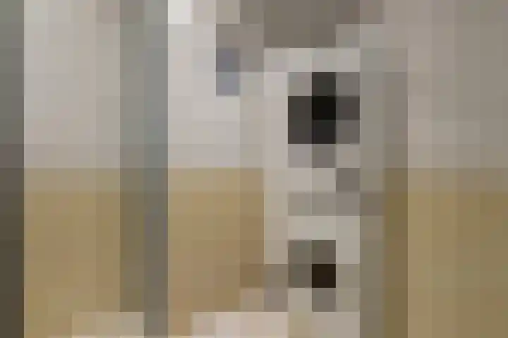Havikshorst 16 Honselersdijk thumbnail 26