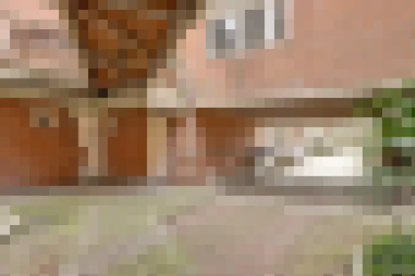 Havikshorst 16 Honselersdijk thumbnail 28