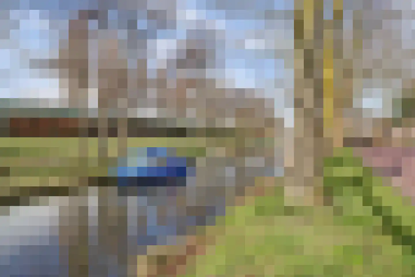 Havikshorst 16 Honselersdijk thumbnail 30