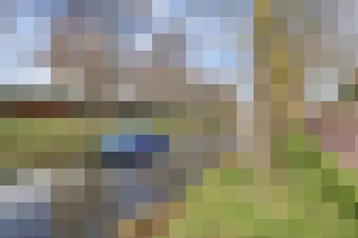 Havikshorst 16 Honselersdijk thumbnail 30