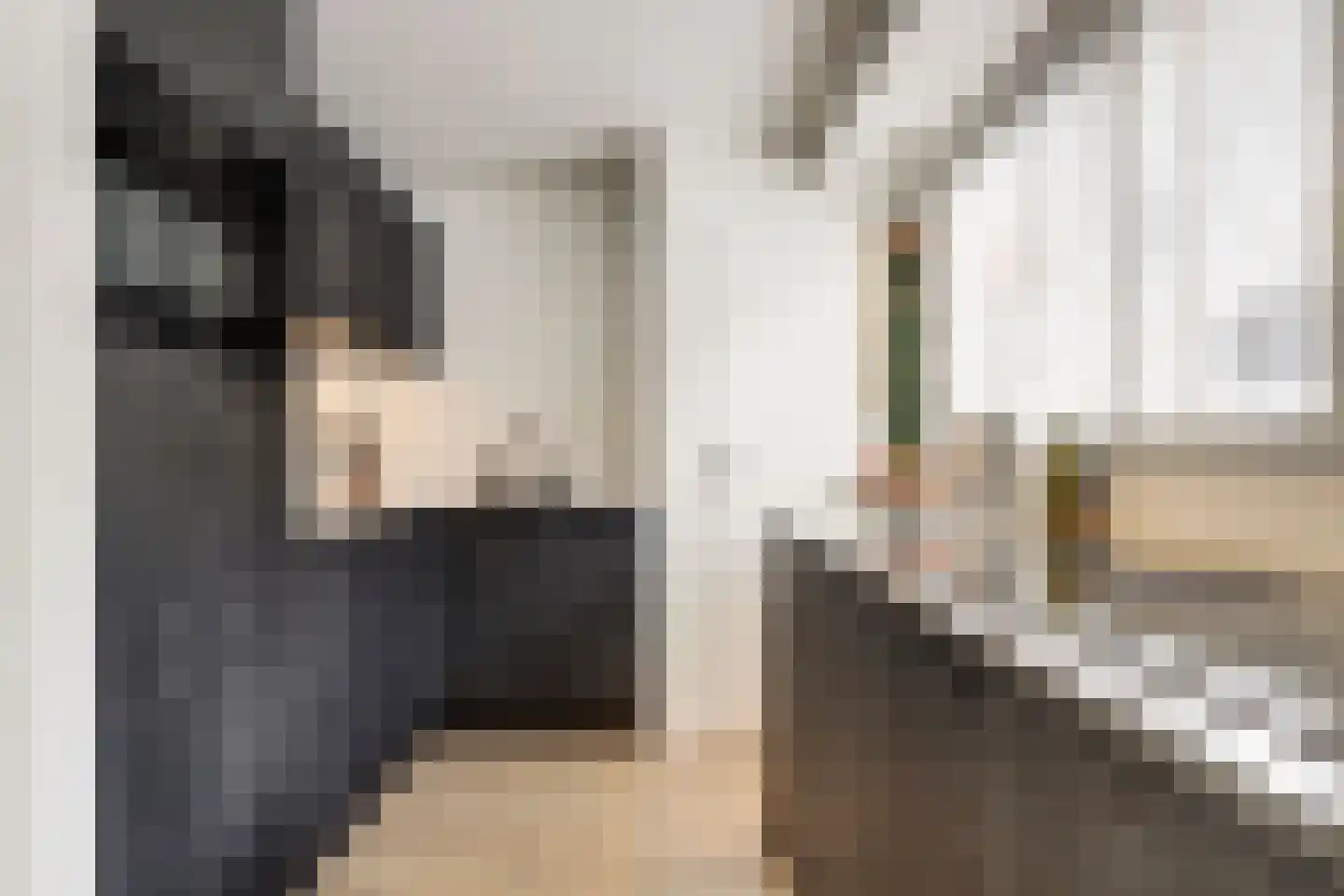 Havikshorst 16 Honselersdijk thumbnail 4
