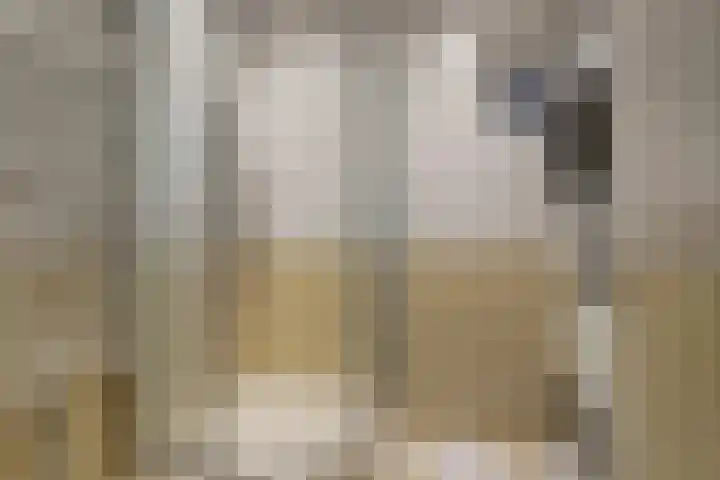 Havikshorst 16 Honselersdijk thumbnail 5