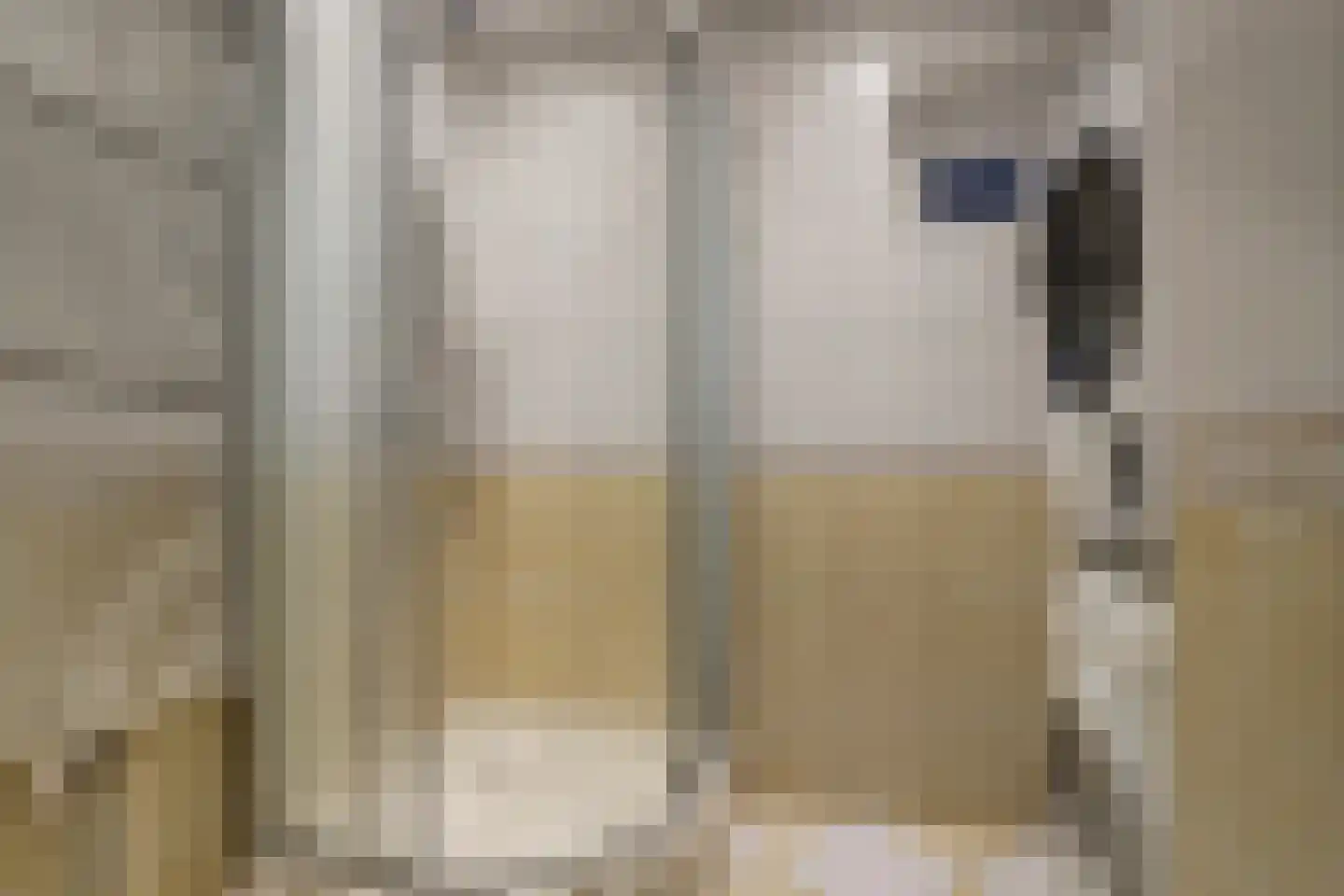 Havikshorst 16 Honselersdijk thumbnail 5