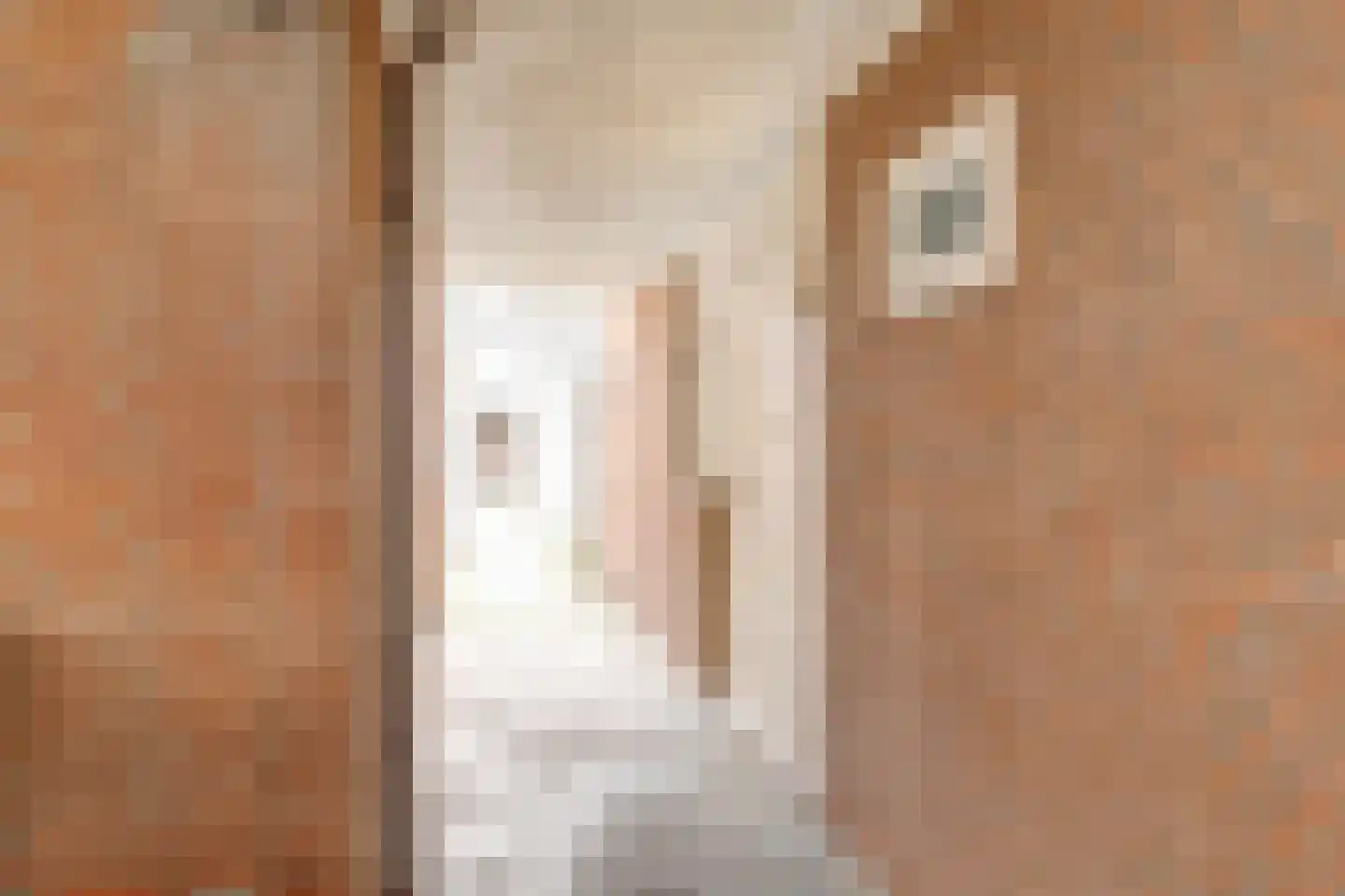 Havikshorst 16 Honselersdijk thumbnail 6