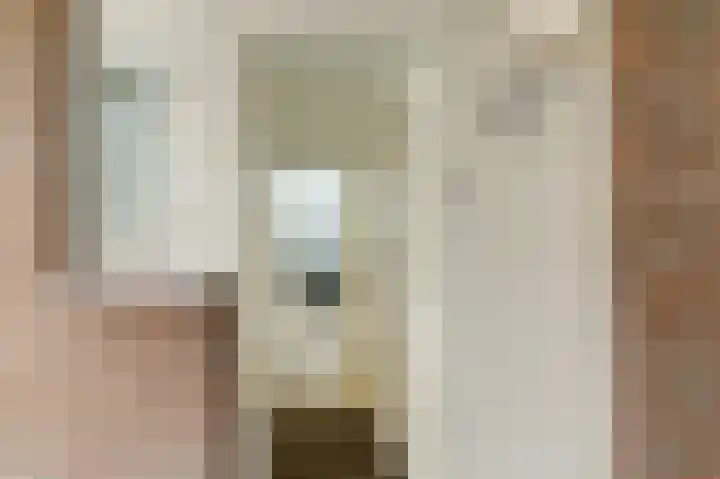 Havikshorst 16 Honselersdijk thumbnail 7