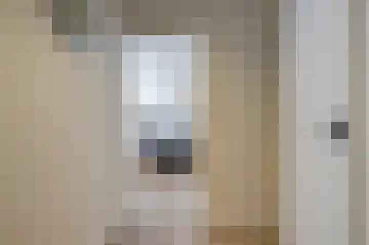 Havikshorst 16 Honselersdijk thumbnail 9