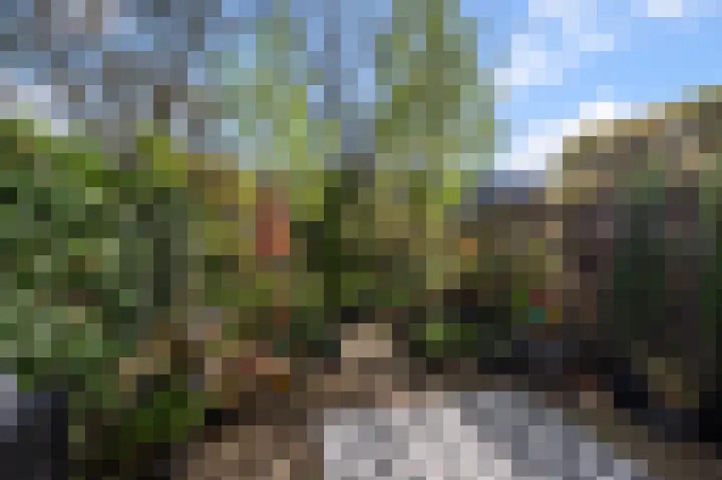 Havikshorst 179 Amsterdam thumbnail 12