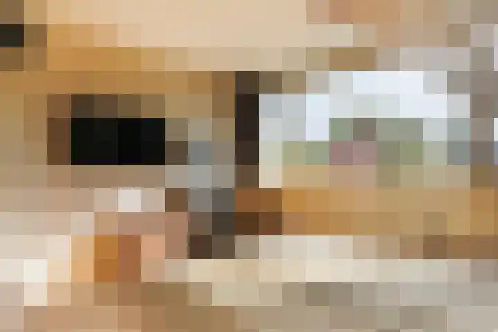 Havikshorst 21 Hoevelaken thumbnail 14