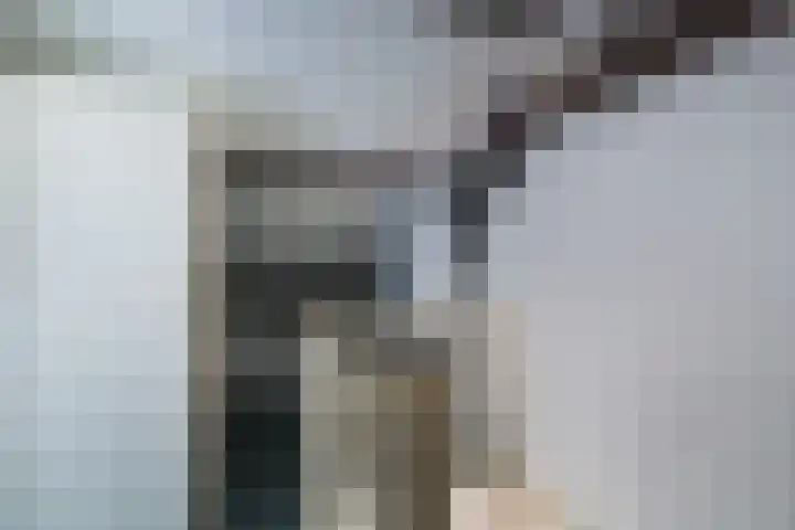 Havikshorst 21 Hoevelaken thumbnail 22