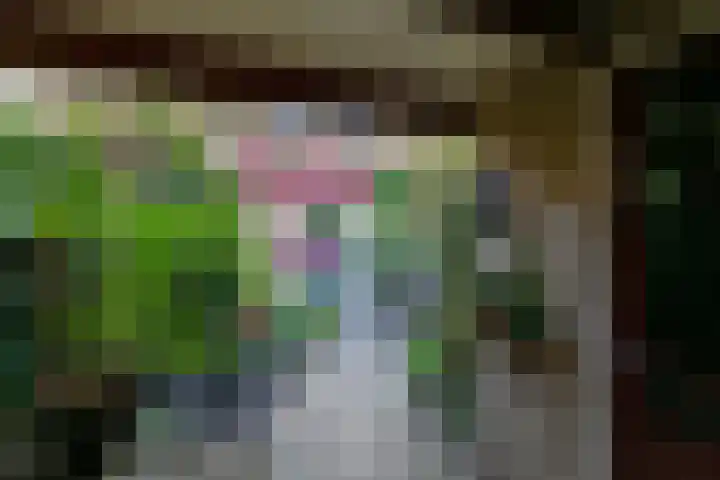 Havikshorst 21 Hoevelaken thumbnail 36