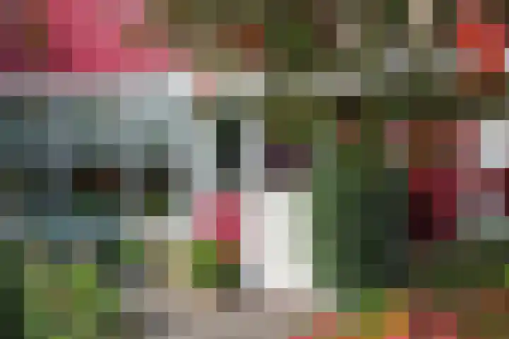 Havikshorst 21 Hoevelaken thumbnail 41