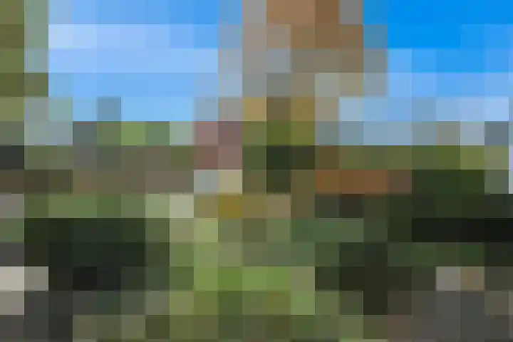 Havikshorst 21 Hoevelaken thumbnail 42