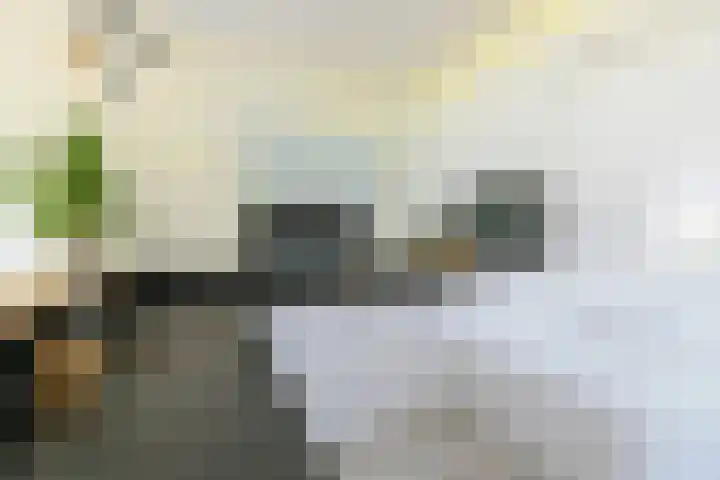 Havikshorst 24 Amsterdam thumbnail 10