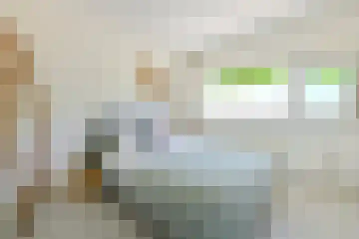 Havikshorst 24 Amsterdam thumbnail 13