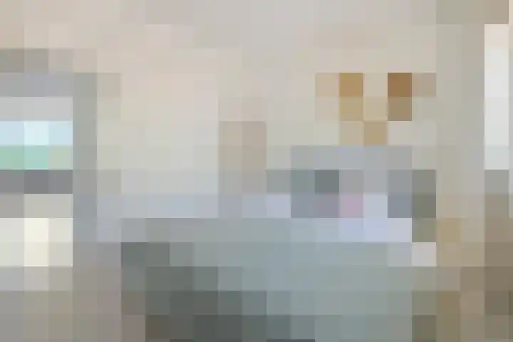 Havikshorst 24 Amsterdam thumbnail 14
