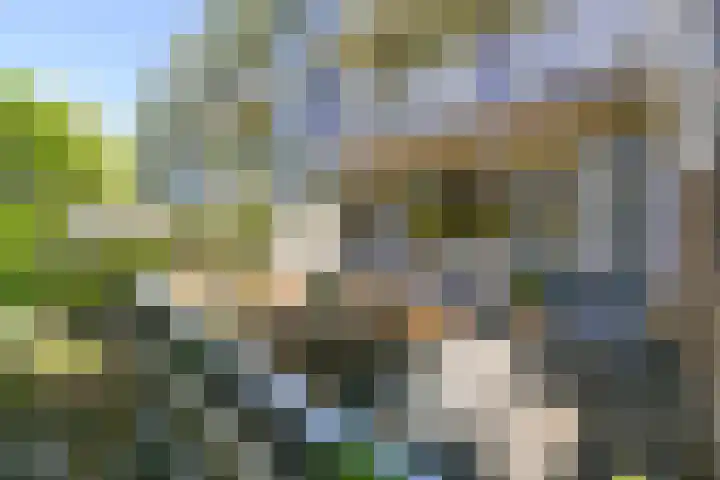 Havikshorst 24 Amsterdam thumbnail 17