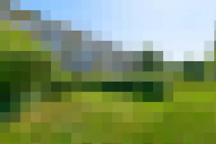Havikshorst 24 Amsterdam thumbnail 24