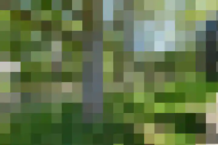 Havikshorst 24 Amsterdam thumbnail 25