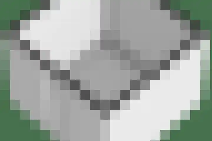 Havikshorst 24 Amsterdam thumbnail 30