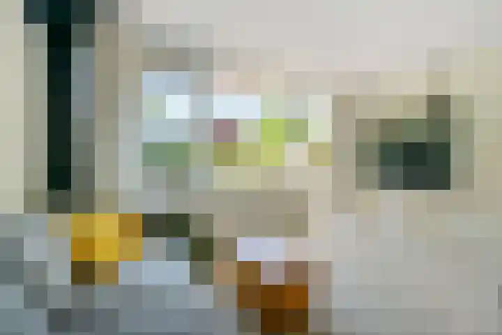 Havikshorst 24 Amsterdam thumbnail 4