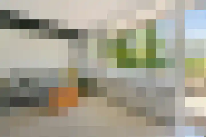 Havikshorst 24 Amsterdam thumbnail 5