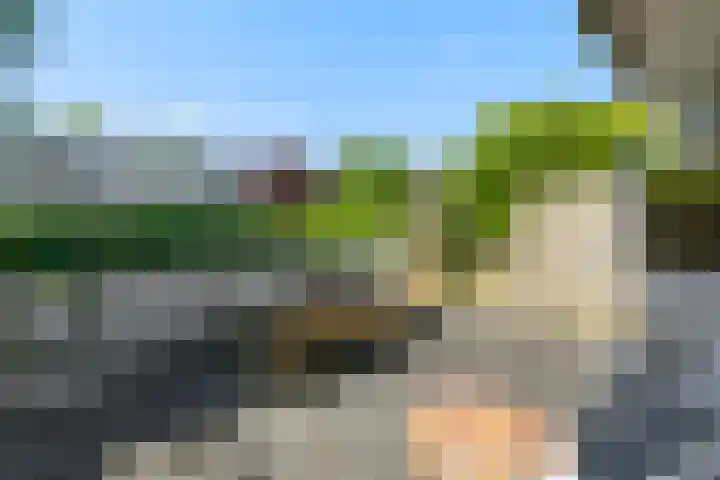 Havikshorst 24 Amsterdam thumbnail 6