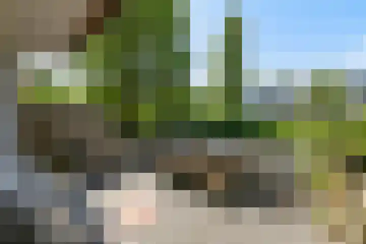Havikshorst 24 Amsterdam thumbnail 7