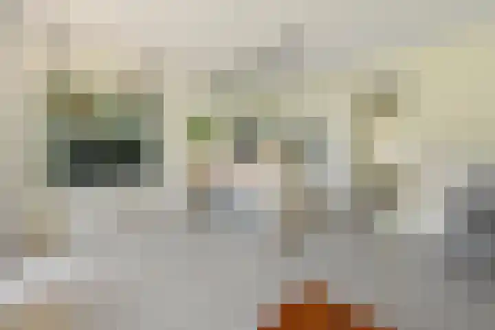 Havikshorst 24 Amsterdam thumbnail 8