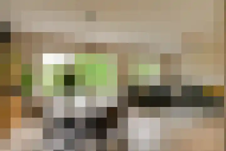 Havikshorst 32 in Honselersdijk