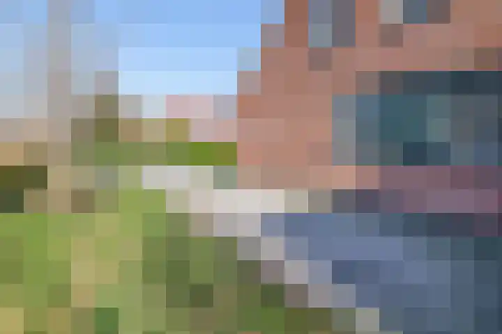 Havikshorst 34 Stadskanaal thumbnail 11