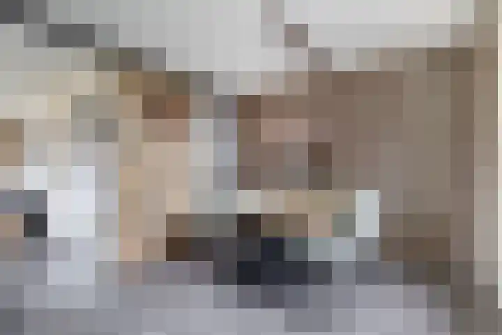 Havikshorst 34 Stadskanaal thumbnail 17