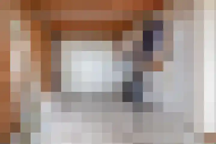 Havikshorst 34 Stadskanaal thumbnail 23