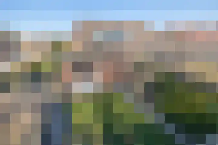 Havikshorst 34 Stadskanaal thumbnail 33