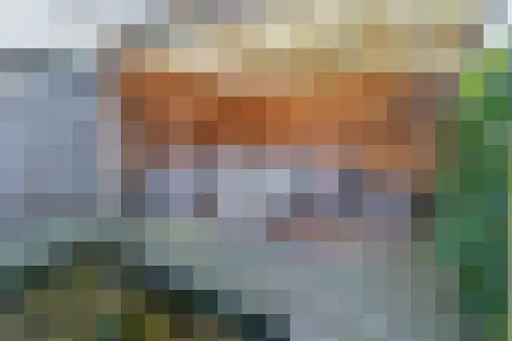 Havikshorst 34 Stadskanaal thumbnail 36
