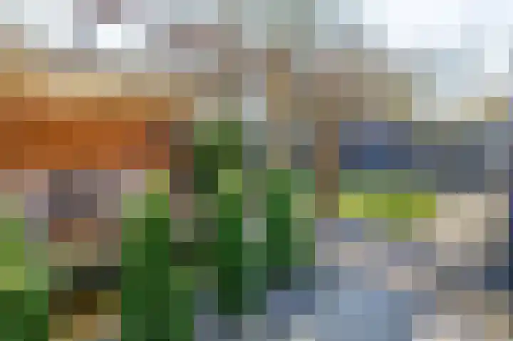 Havikshorst 34 Stadskanaal thumbnail 37