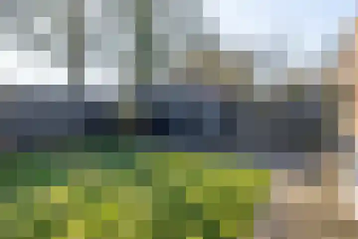 Havikshorst 34 Stadskanaal thumbnail 4