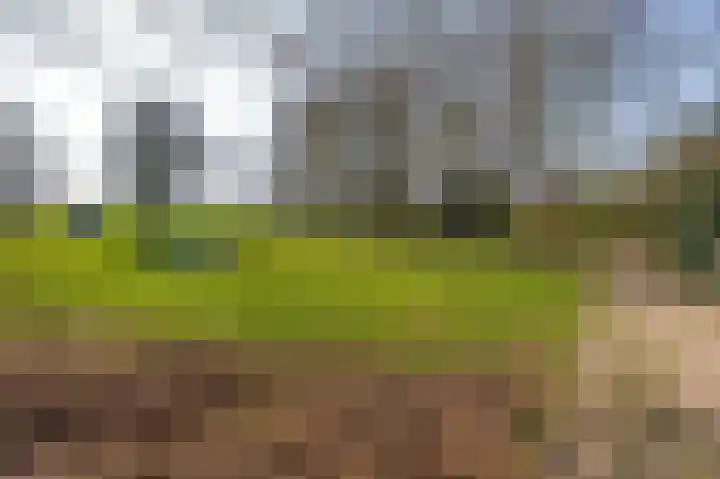 Havikshorst 34 Stadskanaal thumbnail 40