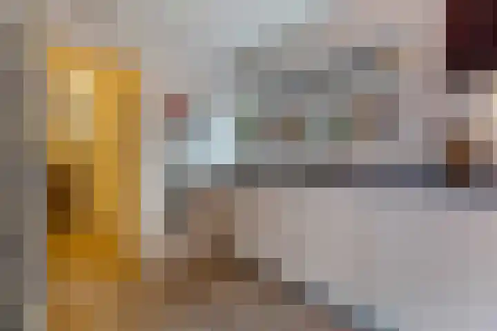 Havikshorst 35 Honselersdijk thumbnail 15