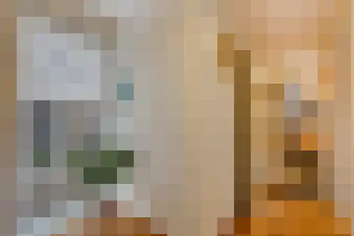 Havikshorst 35 Honselersdijk thumbnail 23