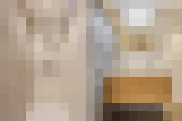 Havikshorst 35 Honselersdijk thumbnail 26