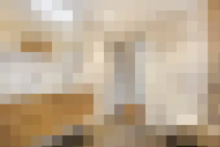 Havikshorst 35 Honselersdijk thumbnail 27