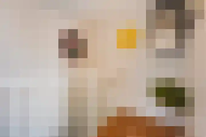 Havikshorst 35 Honselersdijk thumbnail 30