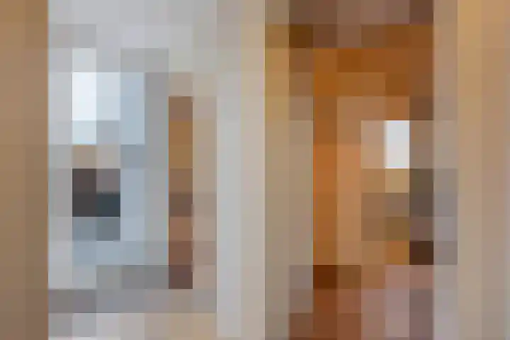 Havikshorst 35 Honselersdijk thumbnail 31