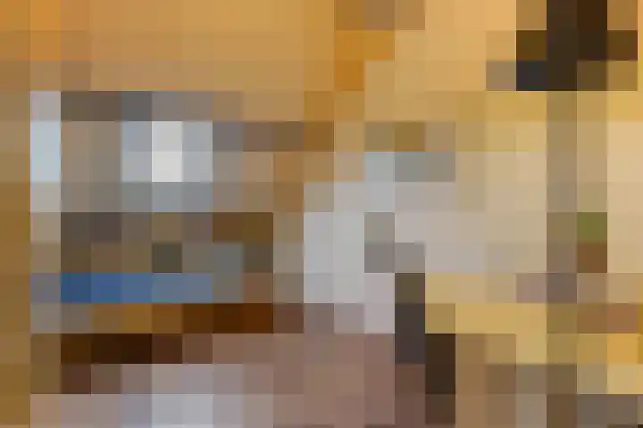 Havikshorst 35 Honselersdijk thumbnail 32