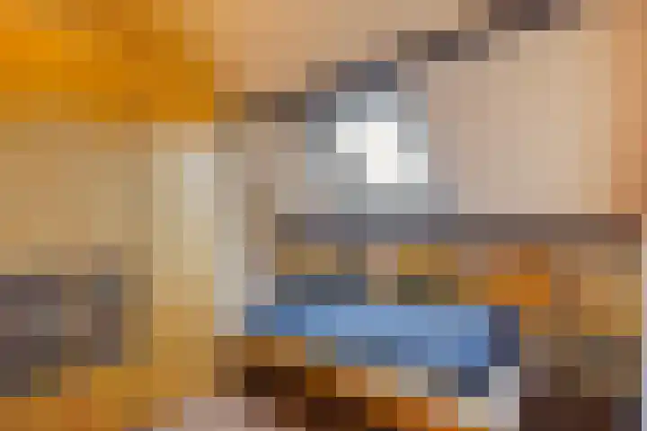Havikshorst 35 Honselersdijk thumbnail 33