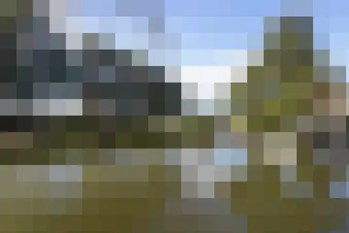 Havikshorst 35 Honselersdijk thumbnail 4