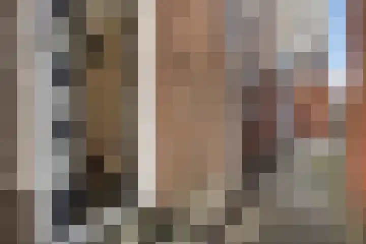 Havikshorst 35 Honselersdijk thumbnail 44