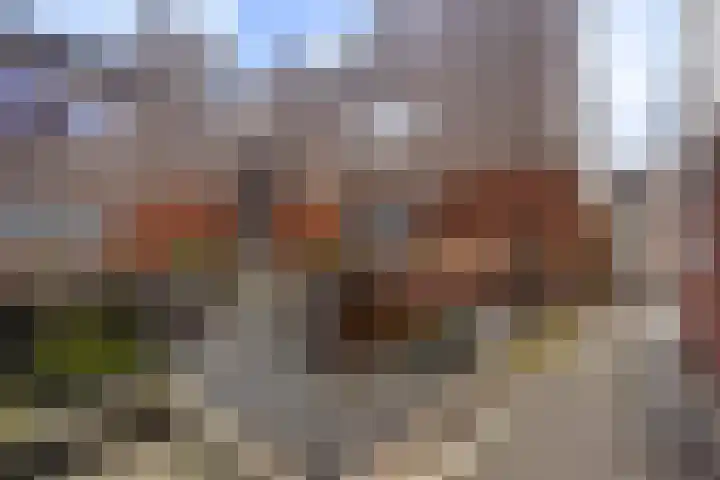 Havikshorst 35 Honselersdijk thumbnail 45