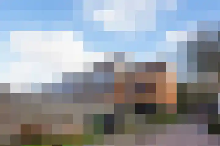 Havikshorst 35 Honselersdijk thumbnail 46