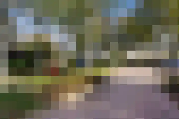 Havikshorst 35 Honselersdijk thumbnail 48